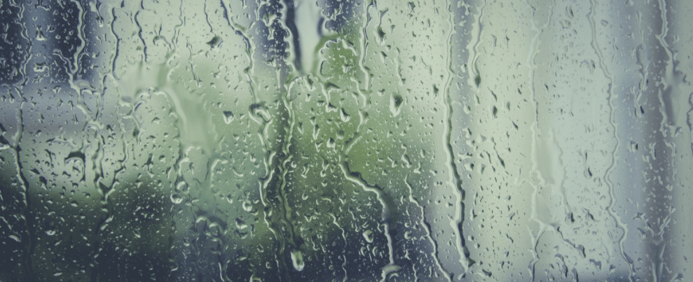 condensation on window