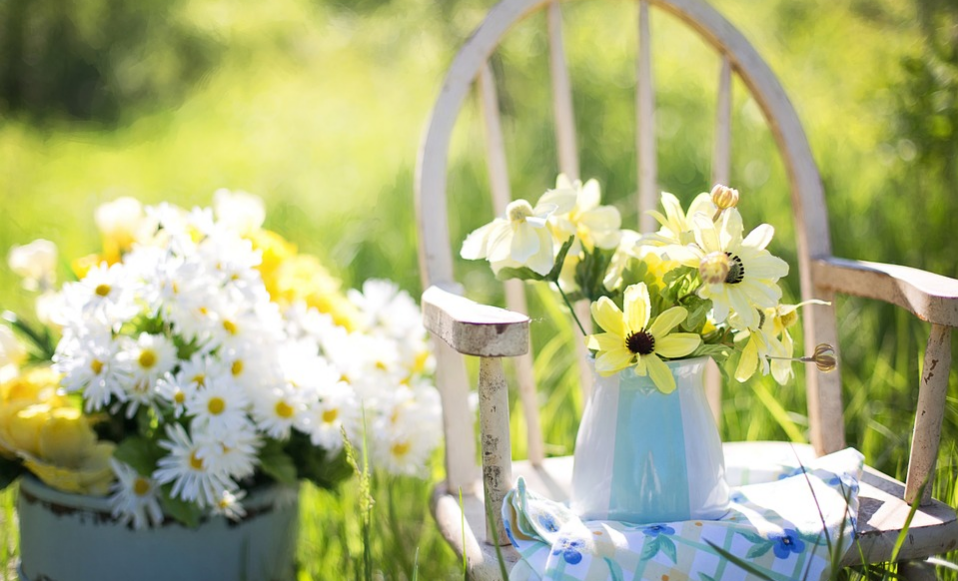 White Chair In A Garden With Fresh Flowers