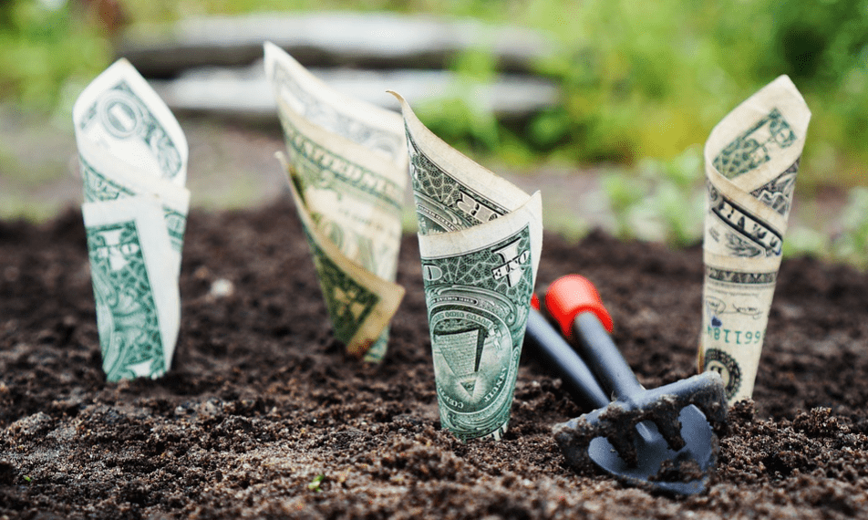Money rolled as plants growing from soil