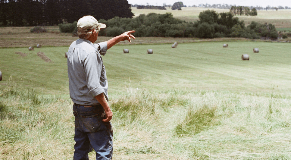 An older farmer man pointing to the distance on a field
