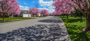 Residential neighborhood with blooming flowers and trees