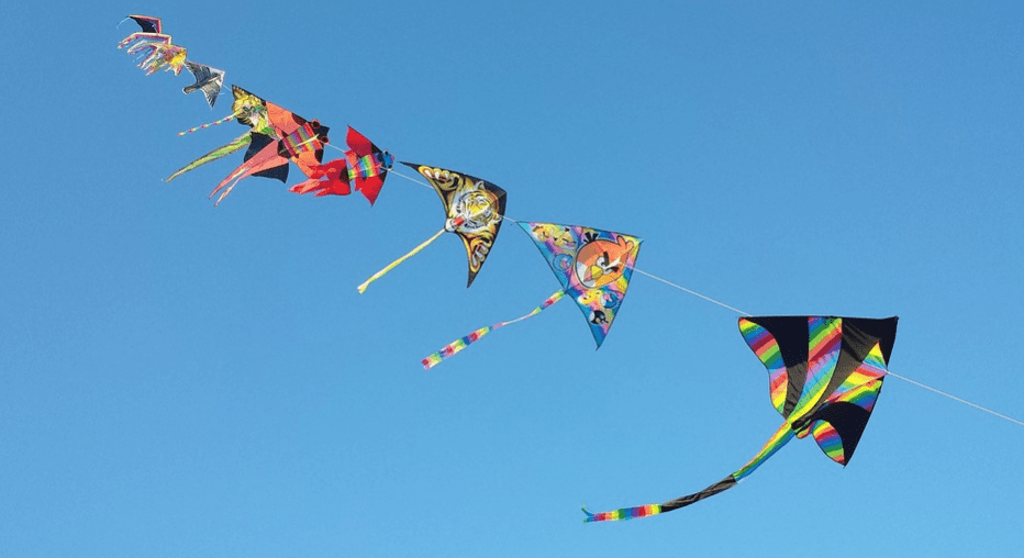 A variety of kites