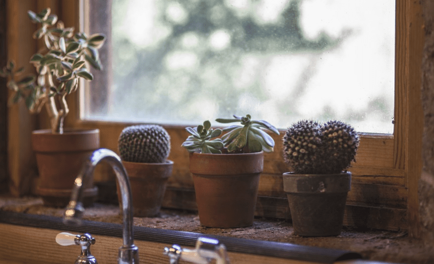 kitchen window with little pots of cactus by kitchen sink
