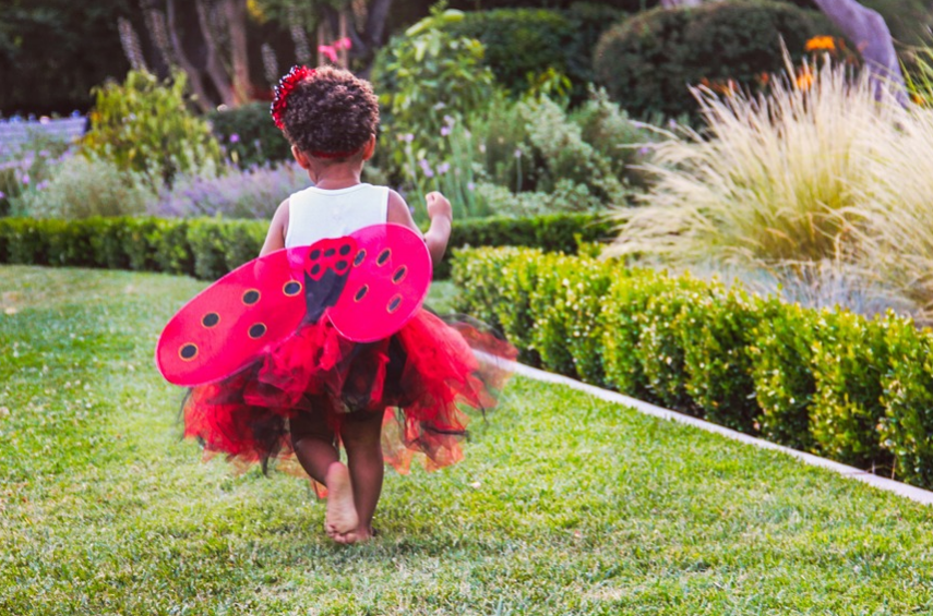 little girl wearing butterfly costume