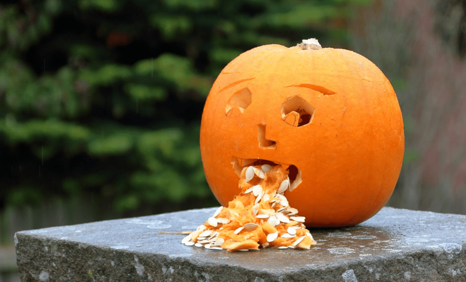 Carved pumpkin puking