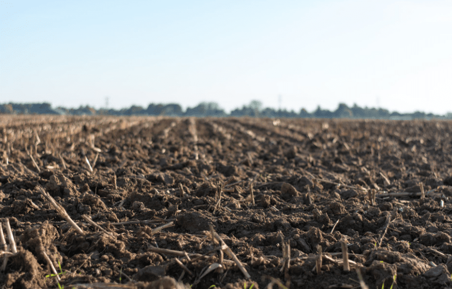 Dry soil ground