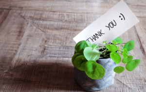 Thank you card with a potted plant