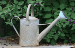 Gardening metal water can