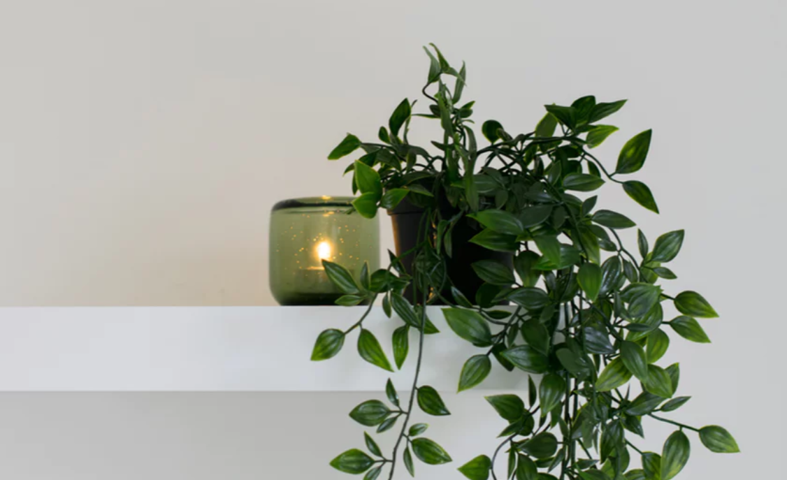 White floating shelf with green plant and candle