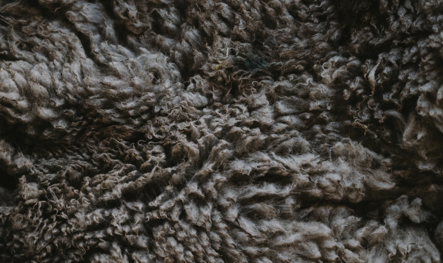 Texture, wool fiber
