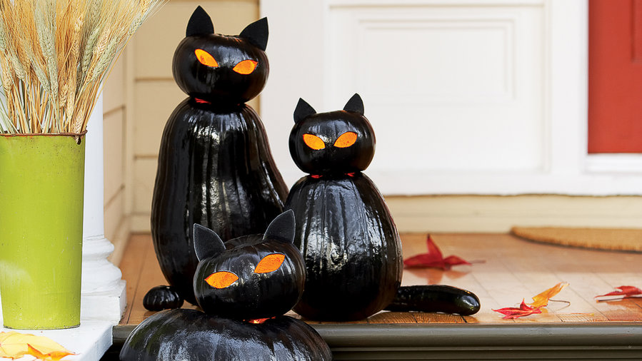 Blackcat Halloween decor
