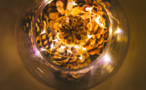 Pinecones in a bowl with lights