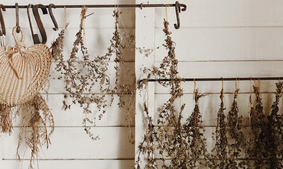 Hanging dried flowers