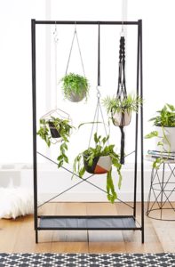Garment hanger with plants