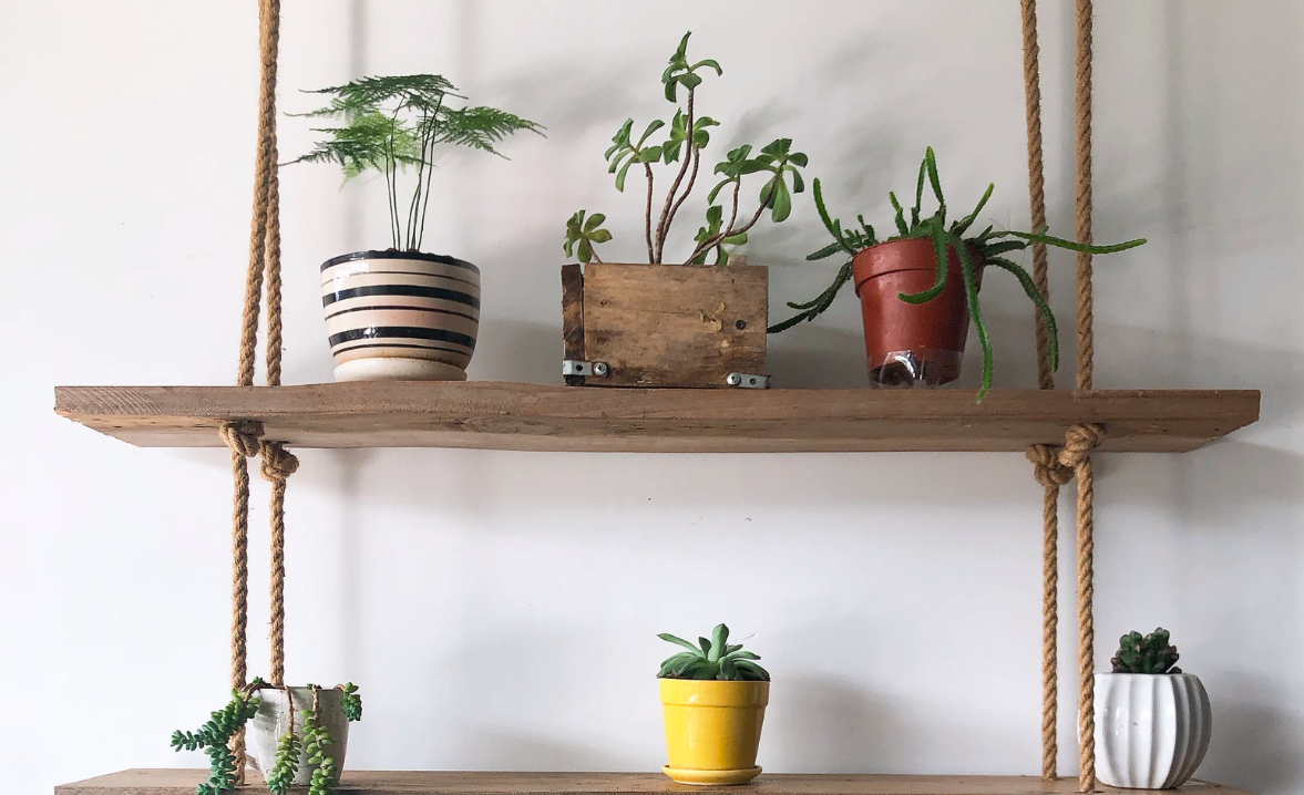 Hanging shelves with plants