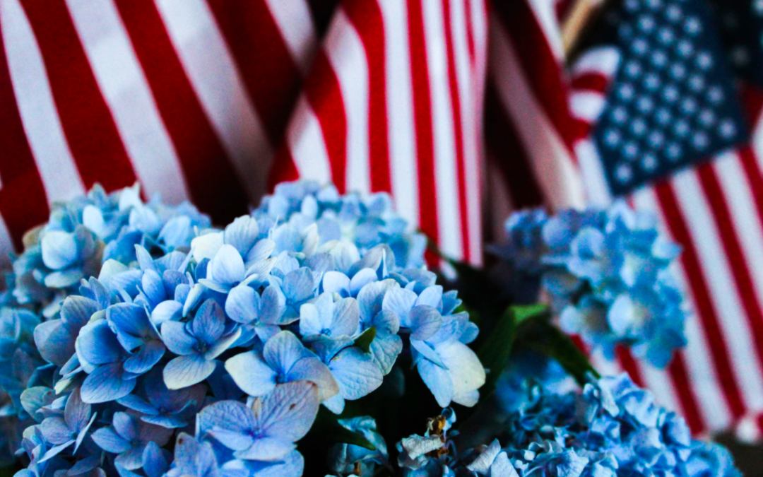 Trending Ways To Celebrate Memorial Day 2020 (Mobile Home Edition)