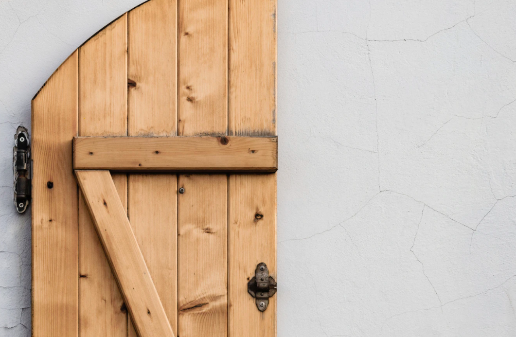 Wooden door with door hinge