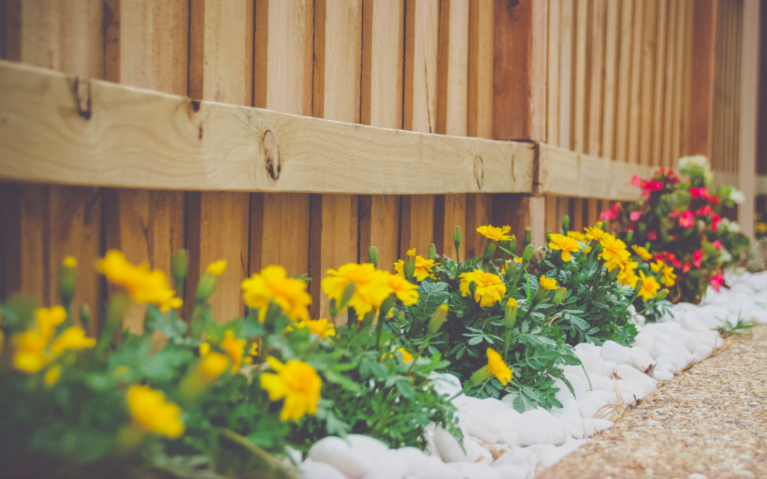 Mobile Home Landscaping Ideas For The Homeowner On The Go