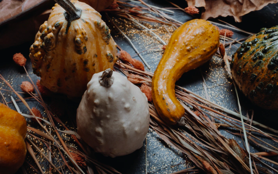 5 Classy Pumpkin And Gourd Ideas For Your Mobile Home Porch