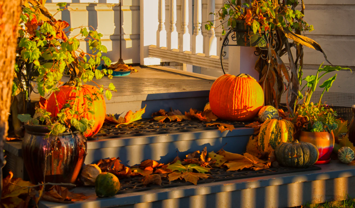Featured image for "# Simple Renovation Projects Your Mobile Home Deserves This Fall"