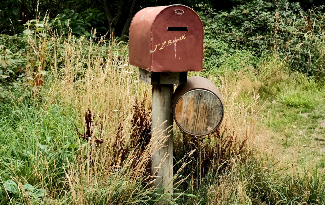 Wooden post mailbox surrounded by weeds