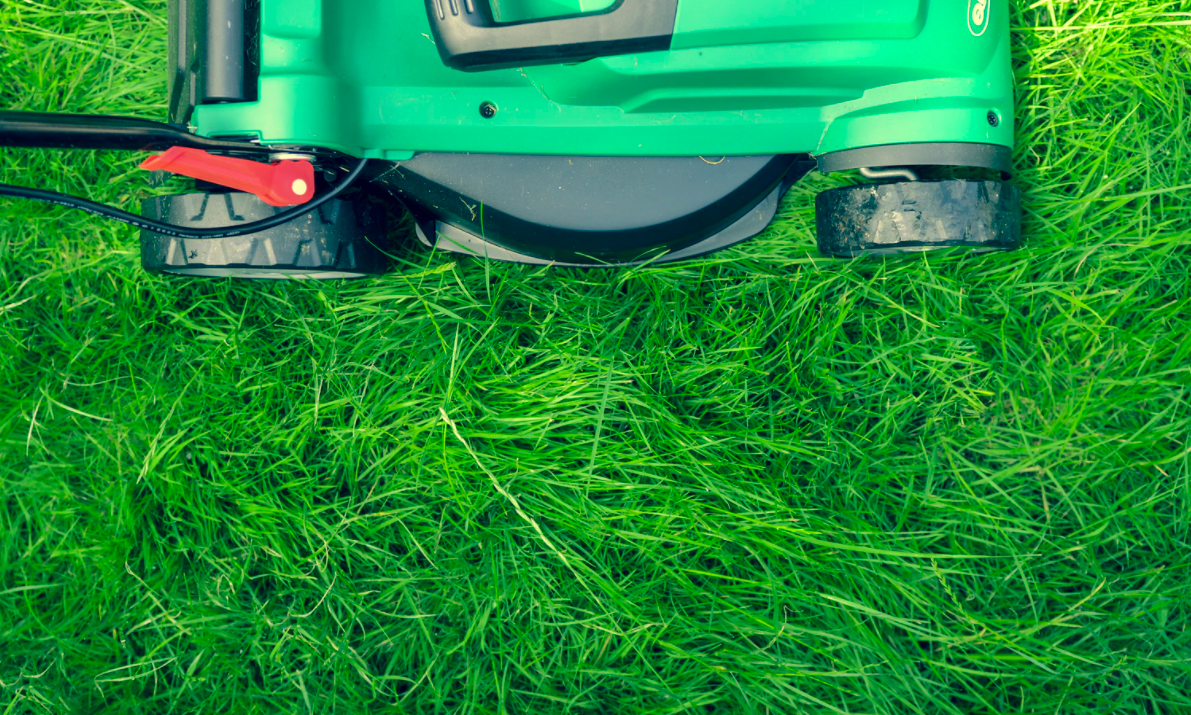 Green lawn mower on grass